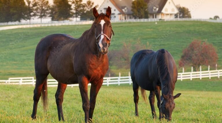 The Wisdom of Uncertainty