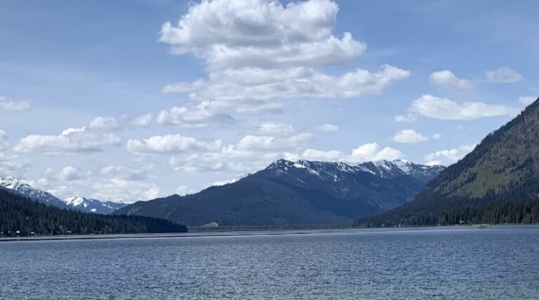 Faith, Family, and the Universe: Questioning God Beyond Religion