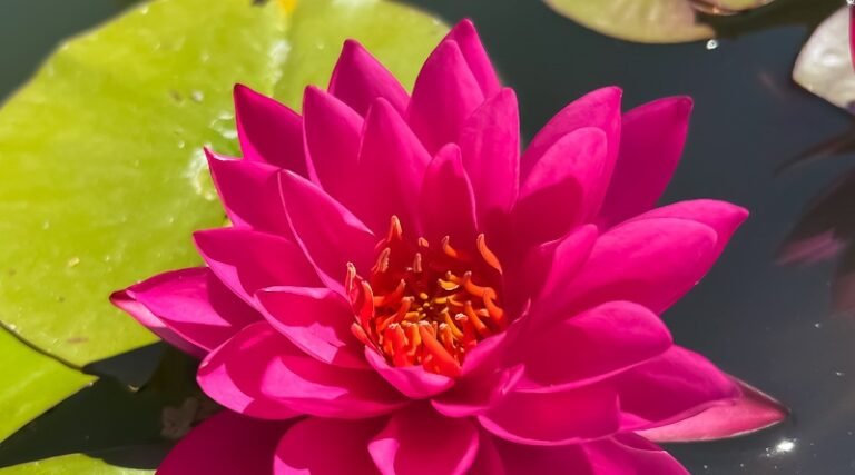 Living under an illusion