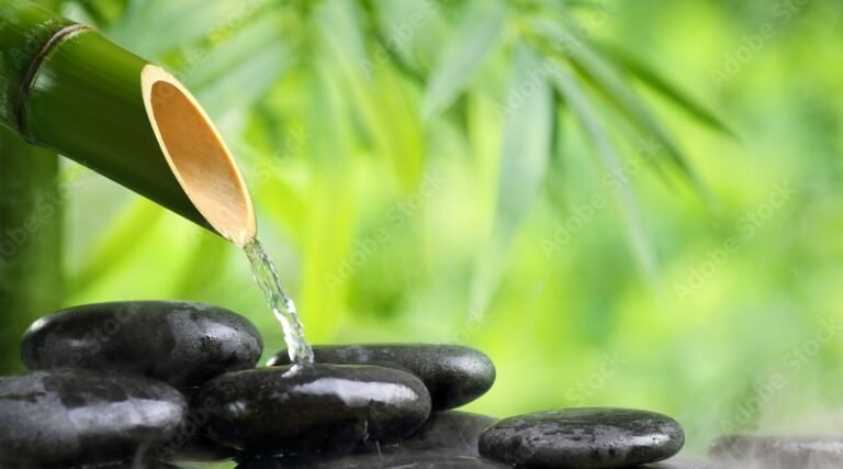 Journey to Zen: Embracing Intuitive Understanding