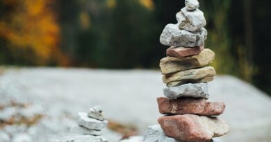 Is the Universe Ordered or Random? Quantum Physics and Buddhism